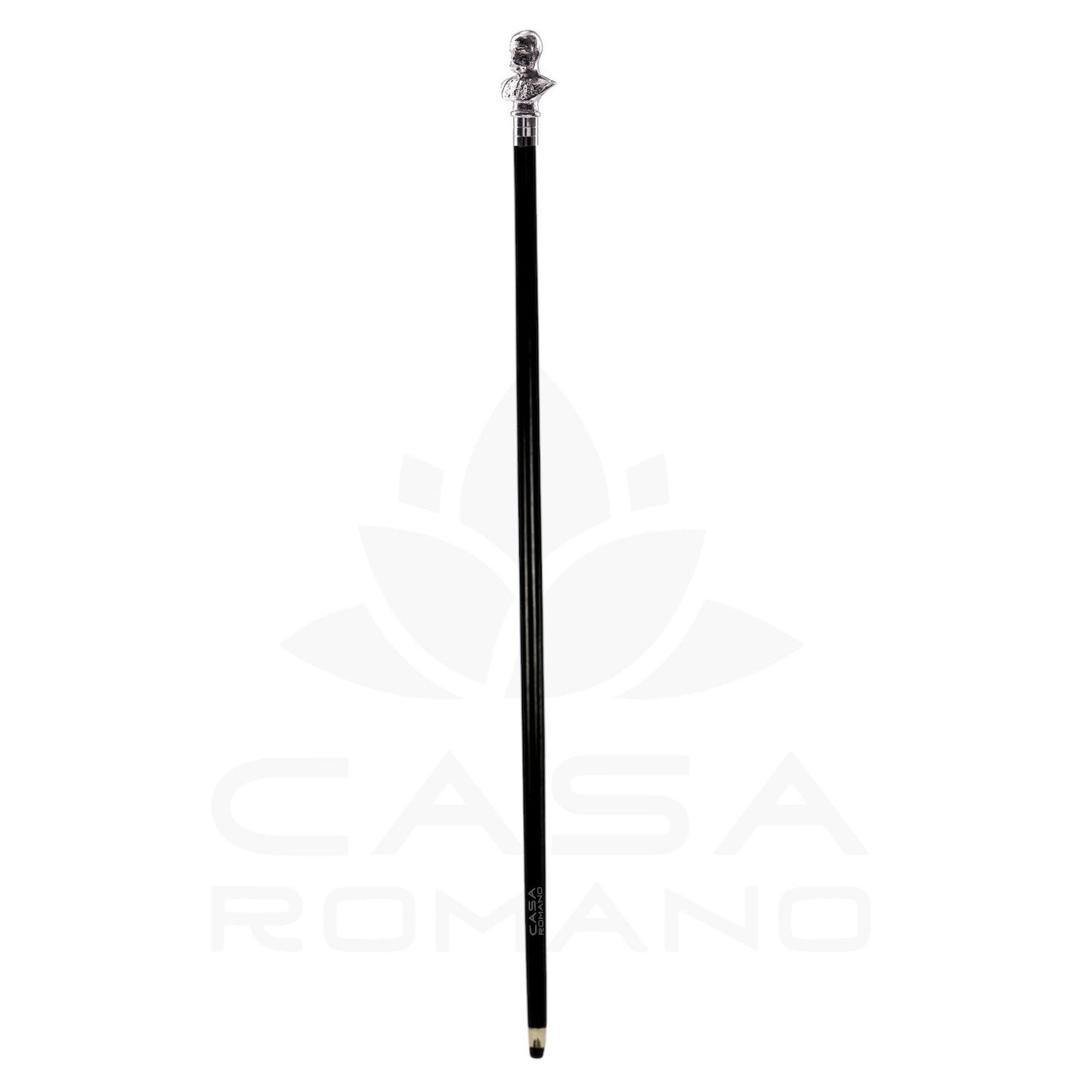 Walking stick with Franz Josef