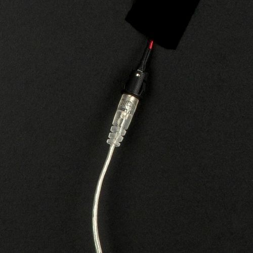 „Dog Love“ – LED-Leinwandbild mit Hund und Herzbrille, 64×64 cm
